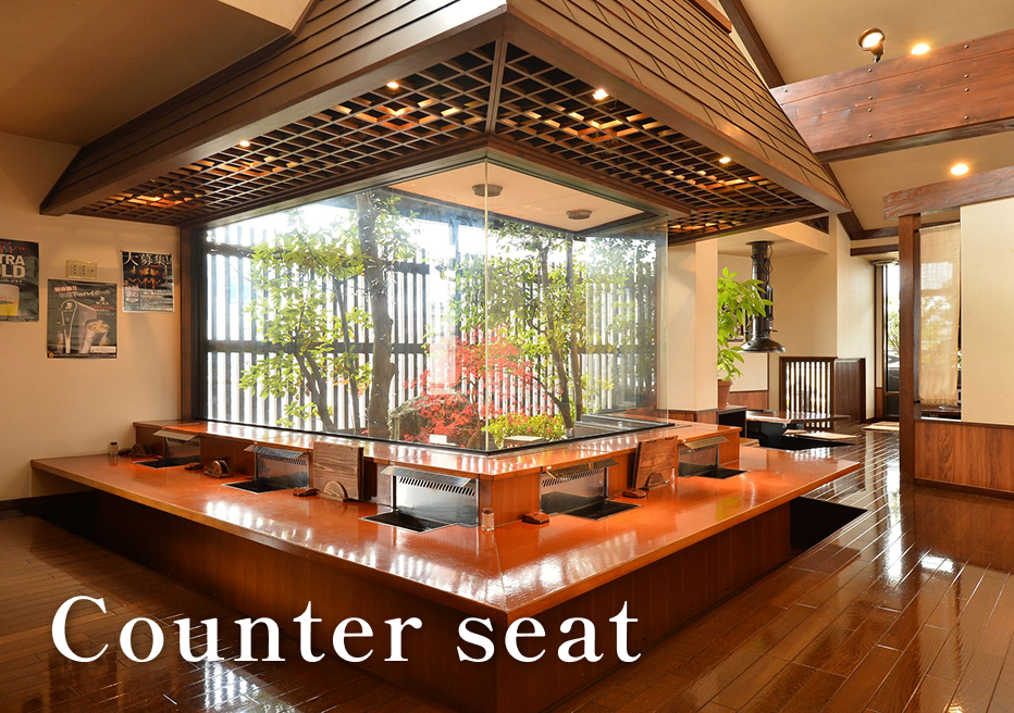 Counter seat